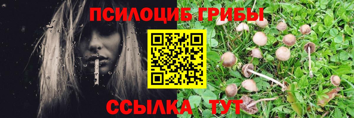 Галлюциногенные грибы GOLDEN TEACHER Заволжье